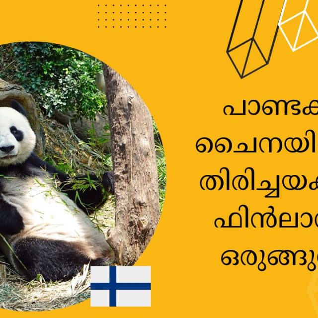 Finland pandas